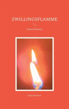 Zwillingsflamme (eBook, ePUB)