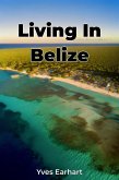 Living In Belize (eBook, ePUB)