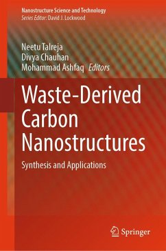 Cover Waste-Derived Carbon Nanostructures (eBook, PDF)
