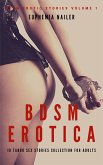 BDSM Erotica: 10 Taboo Sex Stories Collection for Adults (eBook, ePUB)