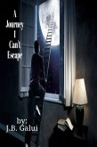 A Journey I Can't Escape (The WAF Journey, #1) (eBook, ePUB)