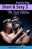 Short & Sexy 3 - The Kink Edition (eBook, ePUB)