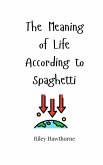 The Meaning of Life According to Spaghetti