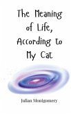 The Meaning of Life, According to My Cat