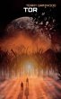 Tor - Bild 1