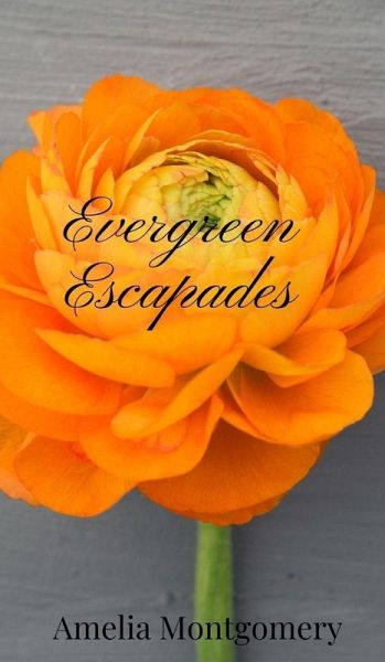 Evergreen Escapades Evergreen Escapades