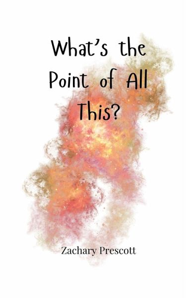 What's the Point of All This?