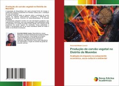 Cover Produção de carvão vegetal no Distrito de Muembe