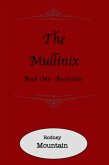 The Mullinix Book 1: Ascension (The Immortal Universe, #9) (eBook, ePUB)