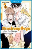 Drachenpflege für Anfänger 02 (eBook, ePUB)