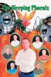 The Sleeping Phoenix (eBook, ePUB) - Bild 1
