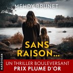 Sans raison (MP3-Download)