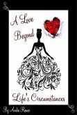 A Love Beyond Life's Circumstances (eBook, ePUB)