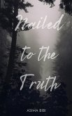 Nailed to the Truth (eBook, ePUB)