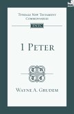 TNTC 1 Peter (eBook, ePUB)