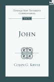 TNTC John (eBook, ePUB)