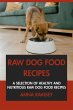 Raw Dog Food Cookbook: A Selection of... - Bild 1