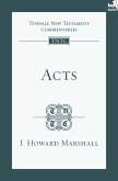 TNTC Acts (eBook, ePUB)