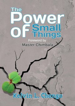 The Power of Small Things (eBook, ePUB) - Luputa