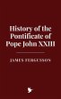 History of the Pontificate of Pope John... - Bild 1