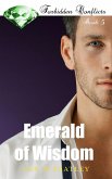 Emerald of Wisdom (Forbidden Conflicts, #5) (eBook, ePUB)