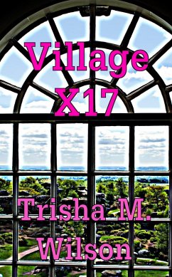 Cover Village X17 (eBook, ePUB)