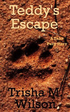 Cover Teddy's Escape (eBook, ePUB)