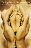 The Big Book Of Name Possibilities A Book Of Names, Meanings And Origins (eBook, ePUB)