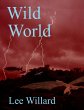 Wild World (The Adventgures of Dorrick... - Bild 1