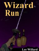 Wizard Run (eBook, ePUB)