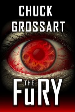 The Fury (eBook, ePUB) - Grossart, Chuck