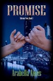 Promise (Solemn Vow, #1) (eBook, ePUB)