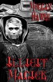 Illicit Magick (eBook, ePUB)