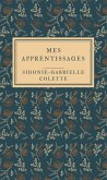 Mes apprentissages - Illustrée (eBook, ePUB) Mes apprentissages - Illustrée (eBook, ePUB)