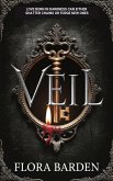 Veil (eBook, ePUB)