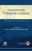 Constitución y probática judicial (eBook, PDF)