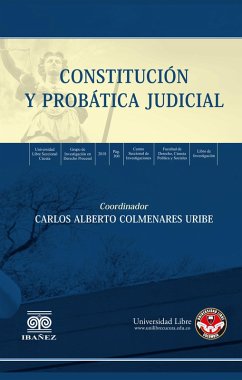Cover Constitución y probática judicial (eBook, PDF)