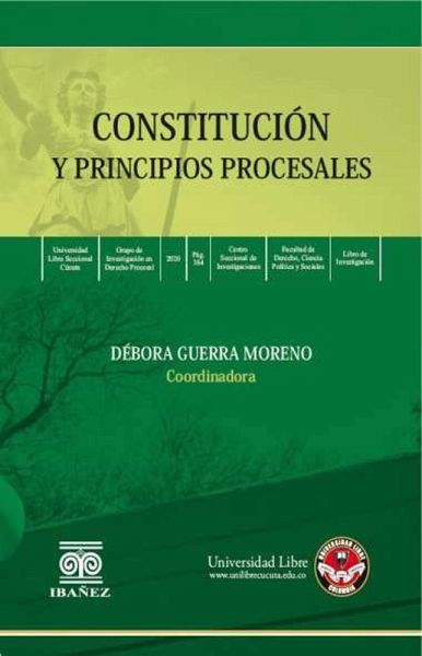 Constitución y principios procesales (eBook, PDF)