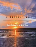 A Connection (eBook, ePUB)