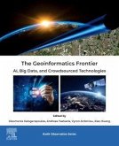 The Geoinformatics Frontier
