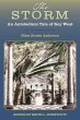 The Storm - Bild 1