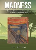 MADNESS