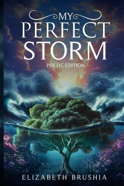 Cover MY PERFECT STORM
