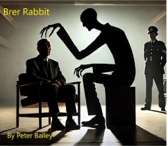 Brer Rabbit (eBook, ePUB) - Bailey, Peter