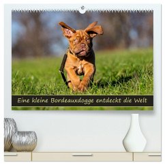 Cover Eine kleine Bordeauxdogge entdeckt die Welt (hochwertiger Premium Wandkalender 2026 DIN A2 quer), Kunstdruck in Hochglanz