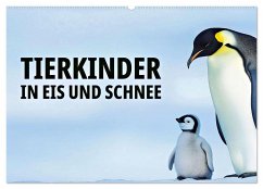 Tierkinder in Eis und Schnee (Wandkalender 2026 DIN A2 quer), CALVENDO Monatskalender