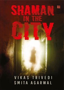 Cover Shaman in the City (eBook, ePUB)