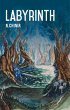 Labyrinth (eBook, ePUB) - Bild 1