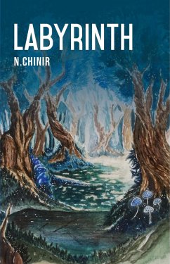 Labyrinth (eBook, ePUB) - Chinir, N.