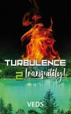 Turbulence 2 Tranquility (eBook, ePUB)
